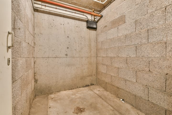 Foto 23 van Pluimgras 8