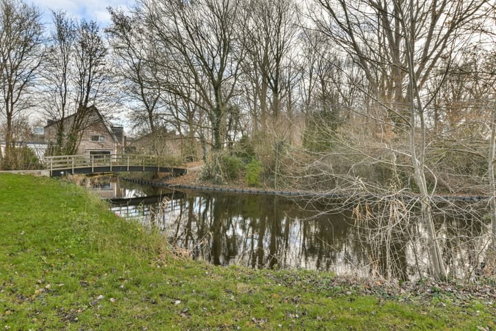 Foto 24 van Pluimgras 8