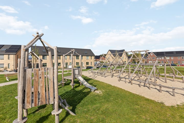 Foto 7 van Jeneverbes 33