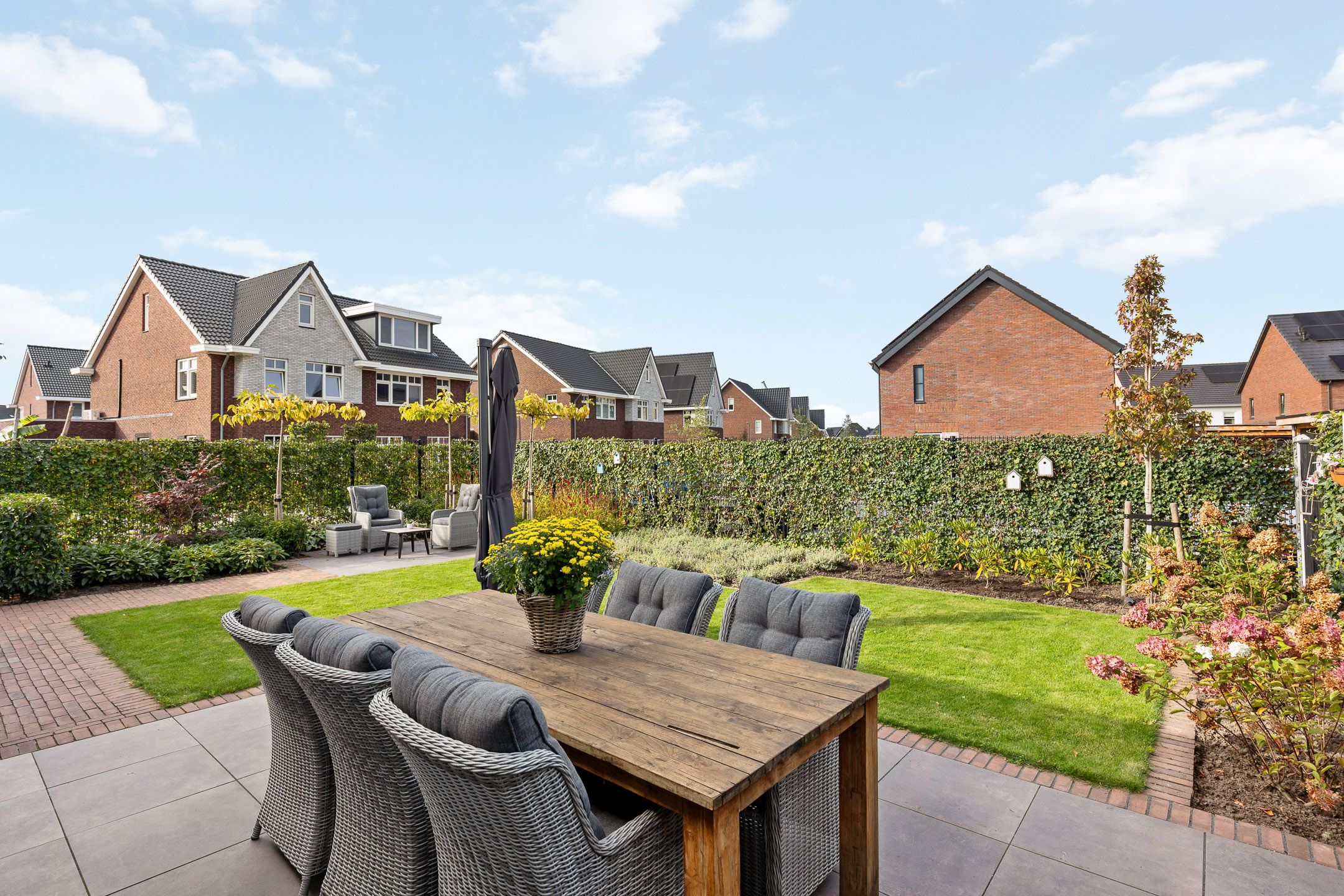 Foto 24 van Jeneverbes 33