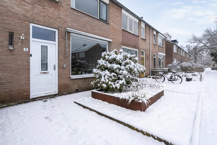 Foto 8 van Badinckstraat 15