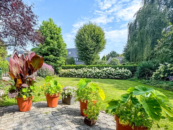 Foto 3 van Oosterduinweg 120