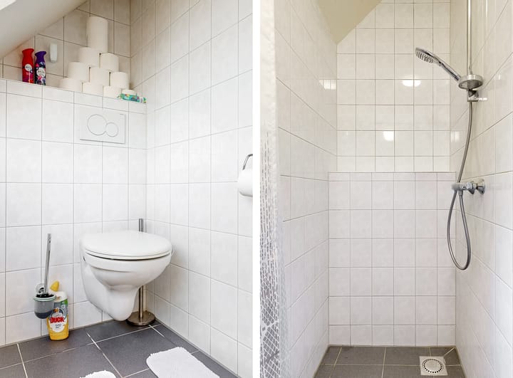 Foto 13 van Leeuwerikstraat 17-B