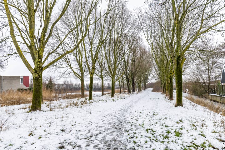 Foto 33 van Rozemarijnstraat 43