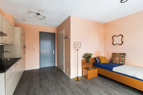 Rietgors 1-32 tertiary image