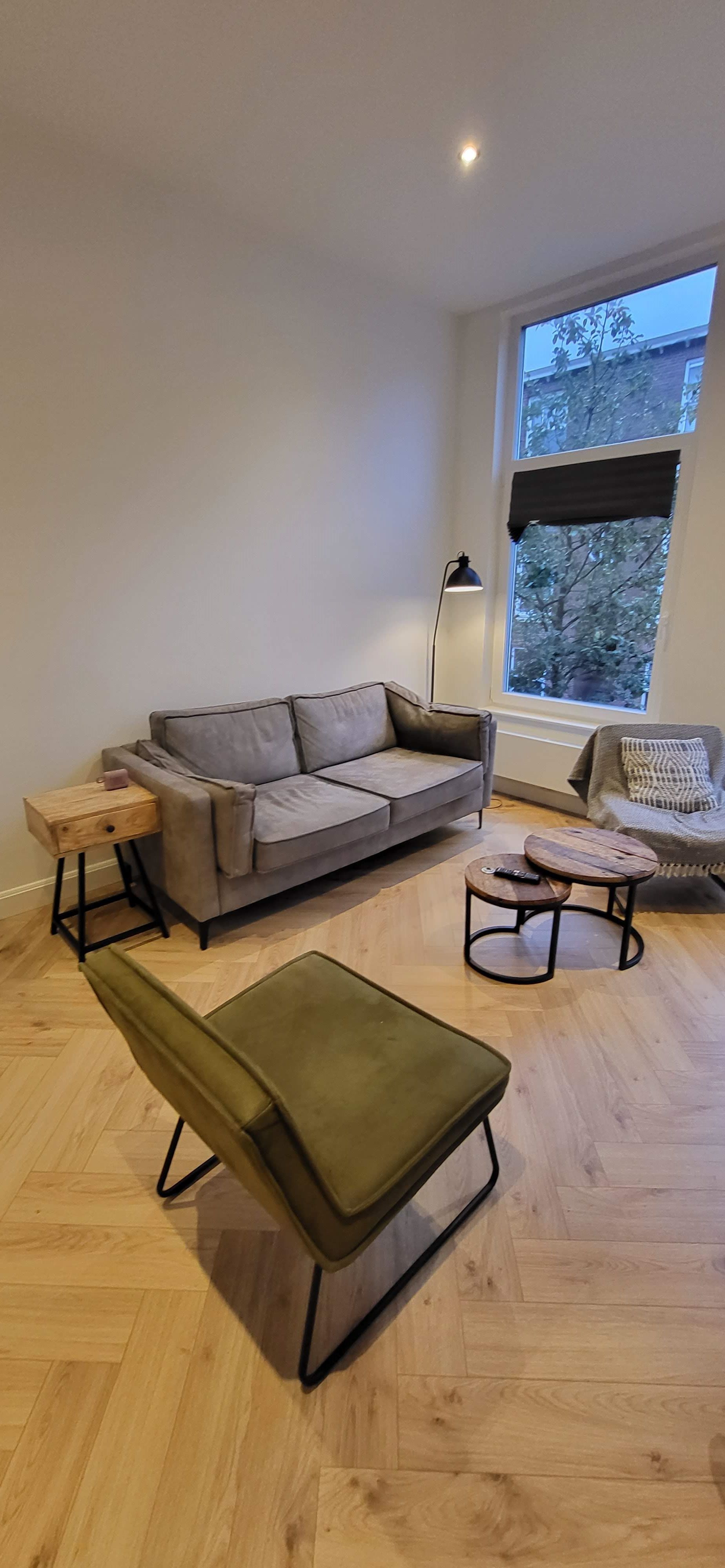 Anton de Haenstraat 106