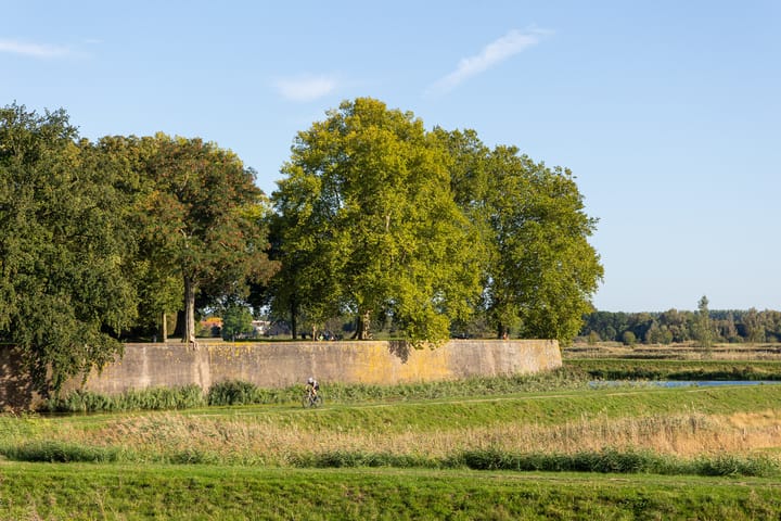 Foto 38 van Parklaan 4