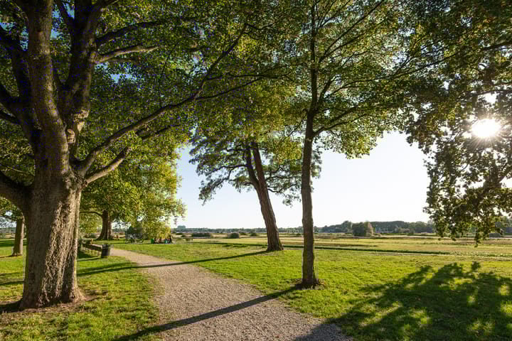 Foto 39 van Parklaan 4