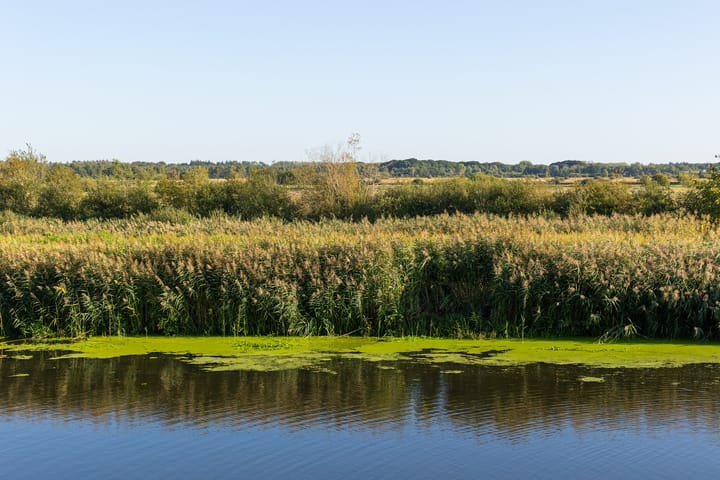 Foto 40 van Parklaan 4