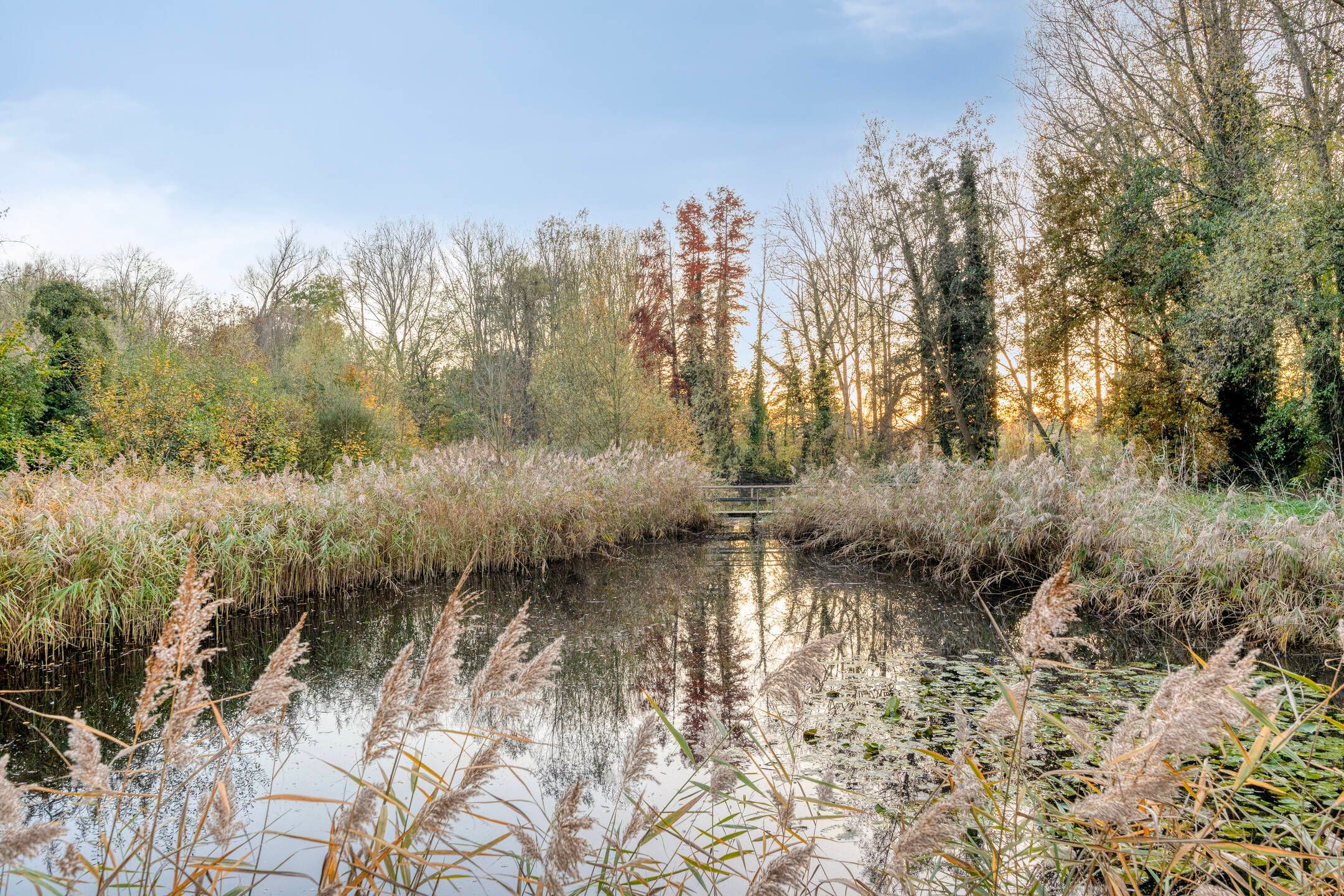 Foto 54 van 't Hof 20