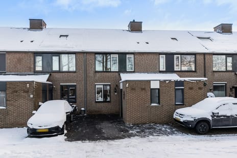 undefined main image