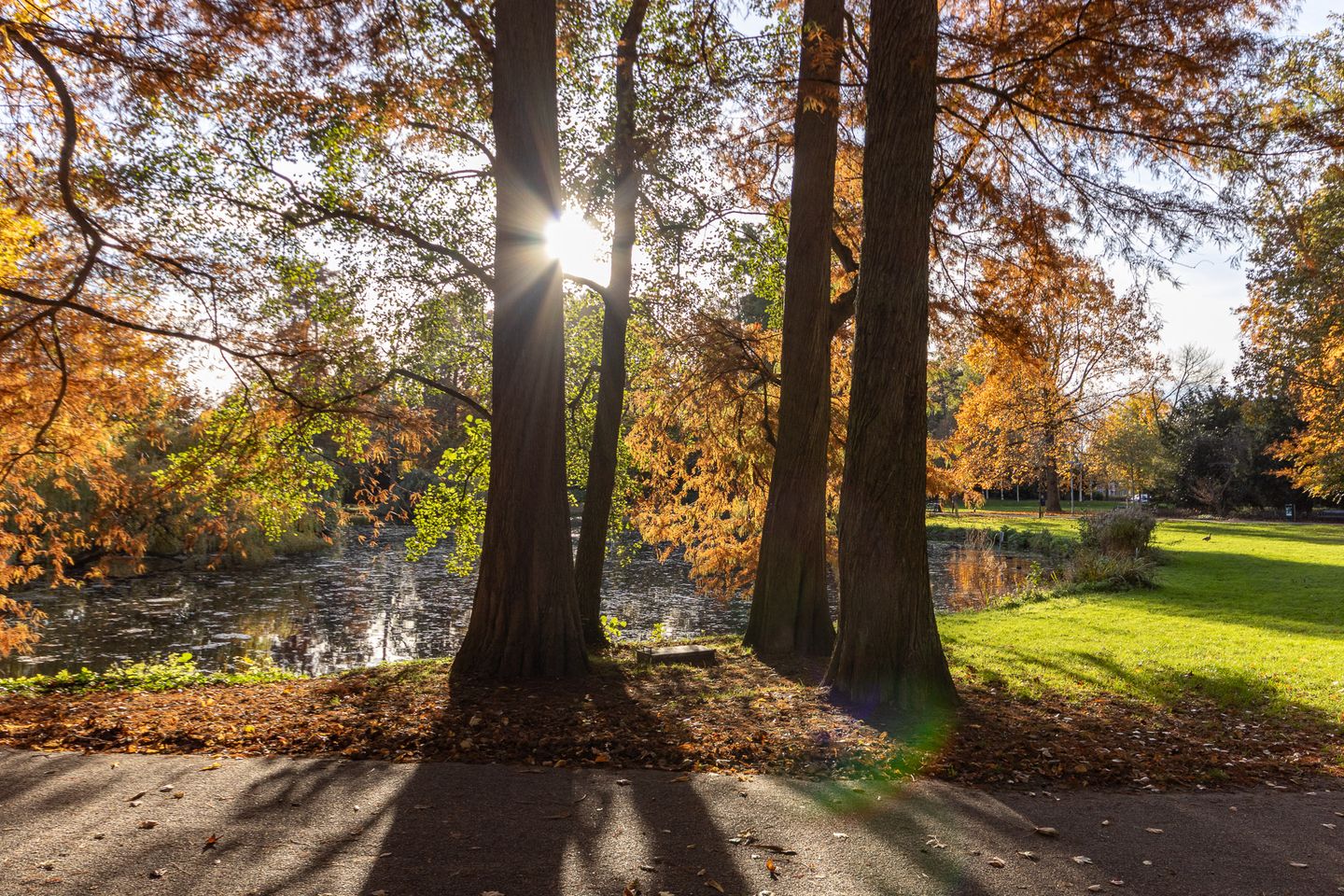 Foto 44 van Frederik Hendrikstraat 128-BS