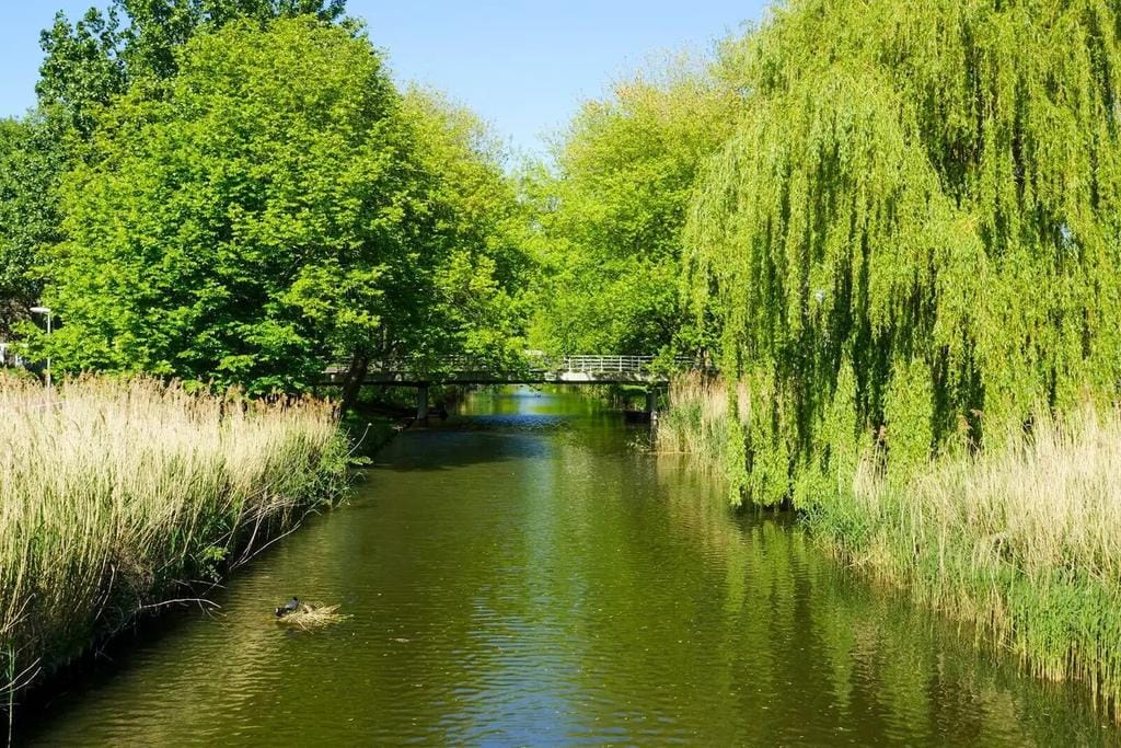 Foto 30 van Moessorgskystraat 18