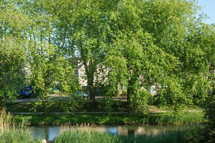 Foto 31 van Moessorgskystraat 18