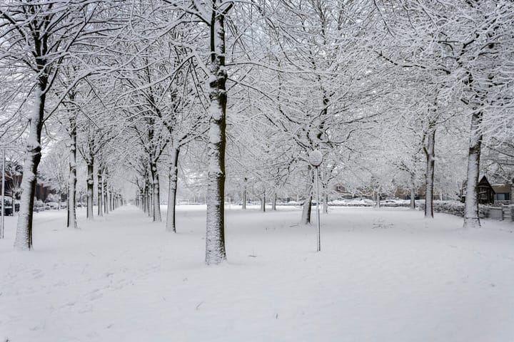 Foto 34 van Frambozenstraat 32