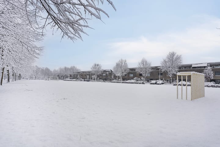 Foto 35 van Frambozenstraat 32