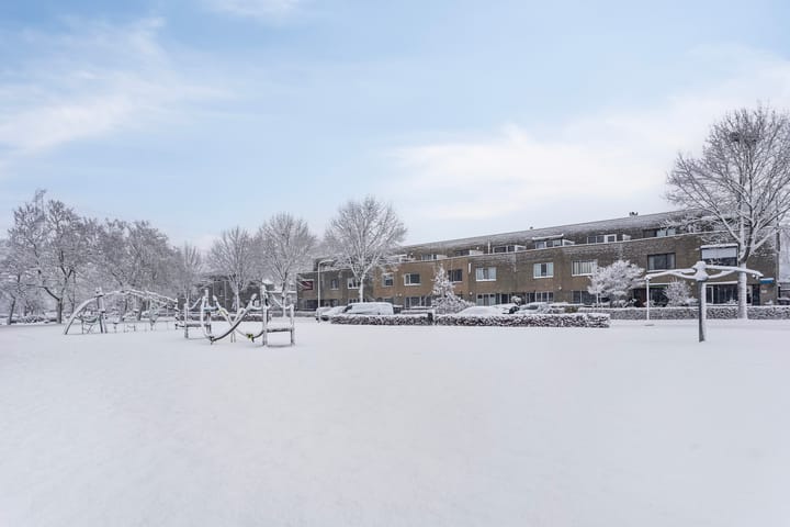 Foto 36 van Frambozenstraat 32