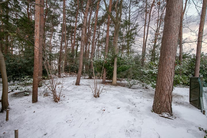 Foto 37 van Stationsweg 61