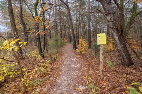 Prinses Alexialaan 218 tertiary image