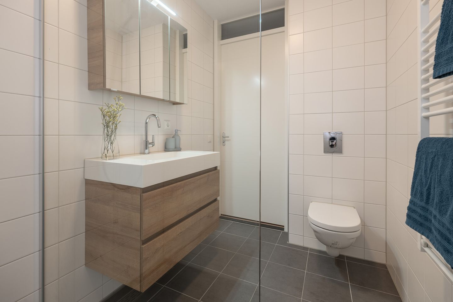 Foto 19 van Prinses Alexialaan 218