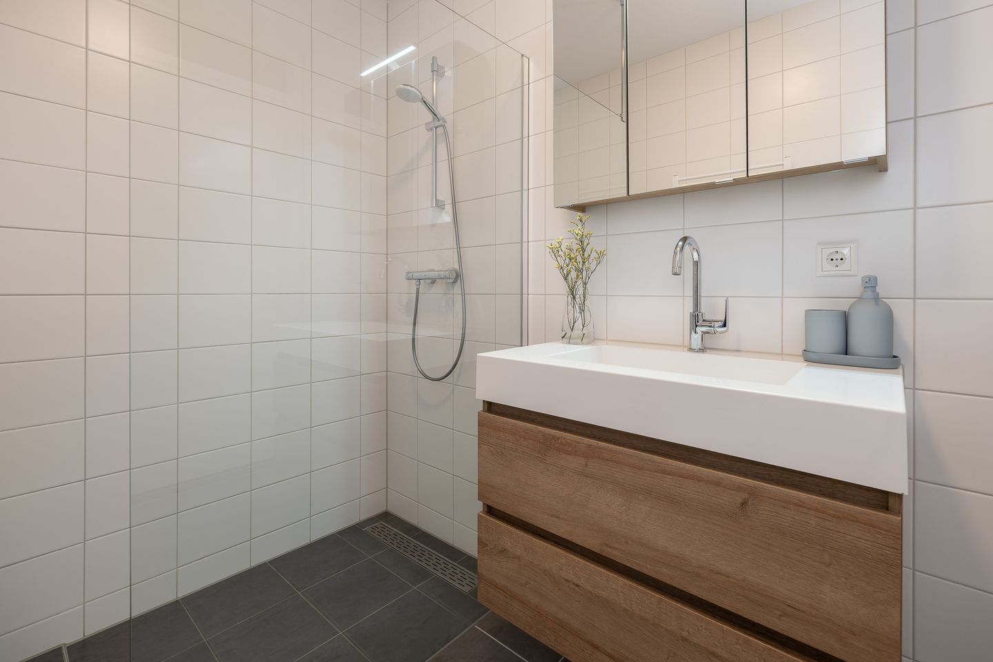 Foto 20 van Prinses Alexialaan 218