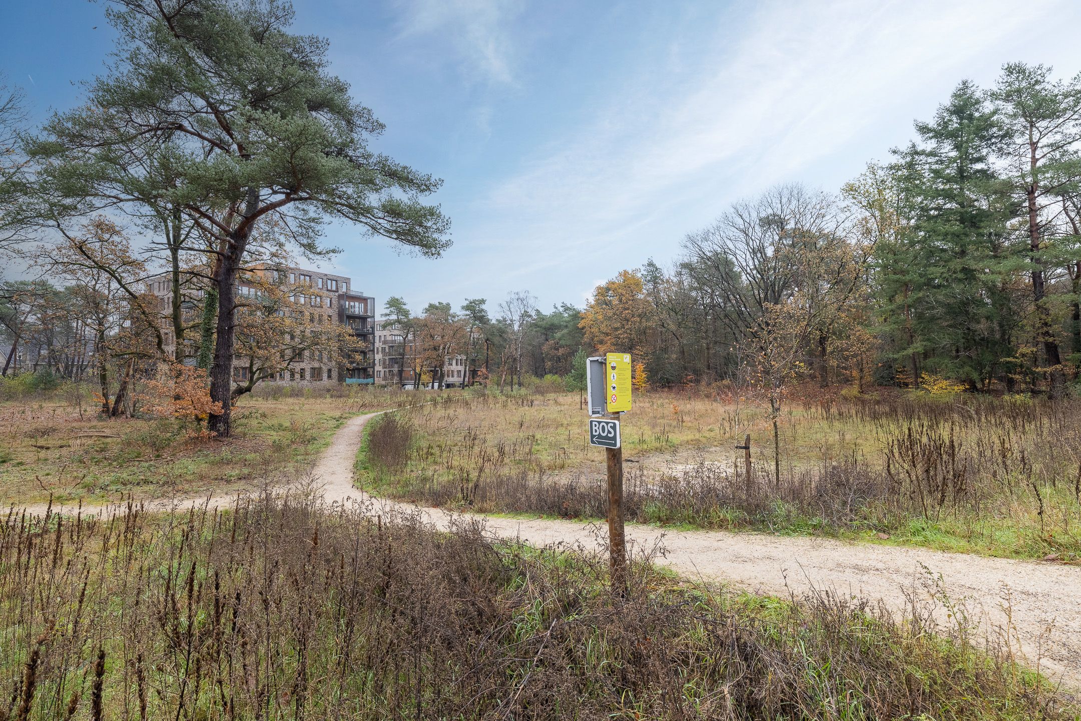 Foto 30 van Prinses Alexialaan 218