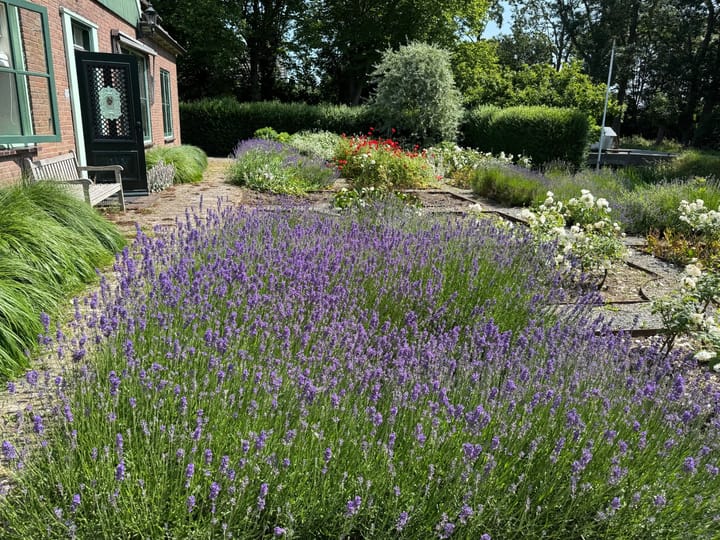 Foto 6 van Wogmeer 105