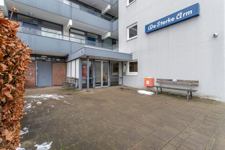 Photo 22 of De Sterke Arm 125