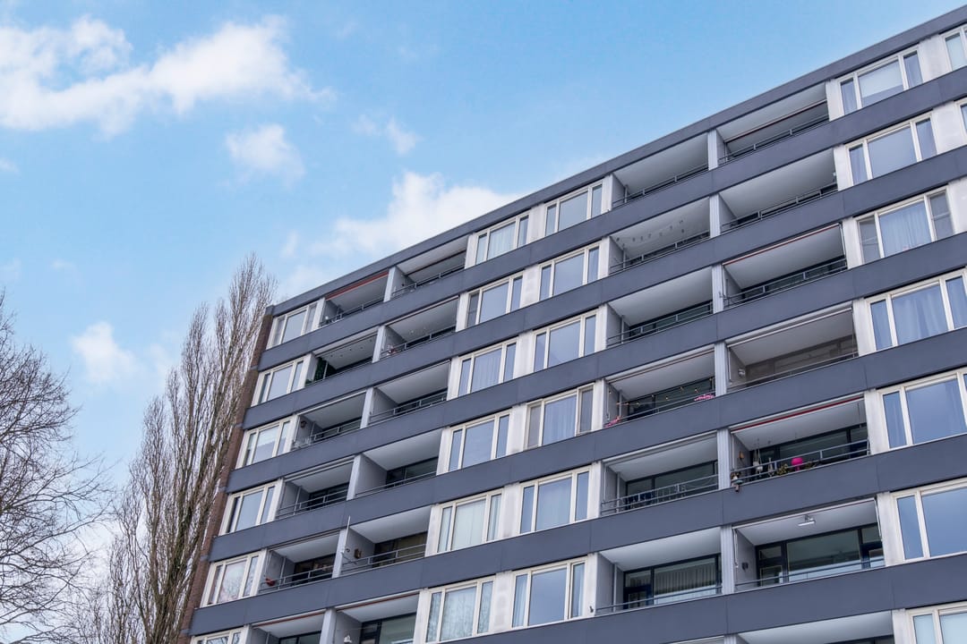 Photo 23 of De Sterke Arm 125