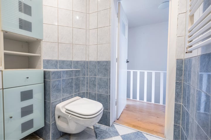 Foto 31 van Uiterdijksterweg 29