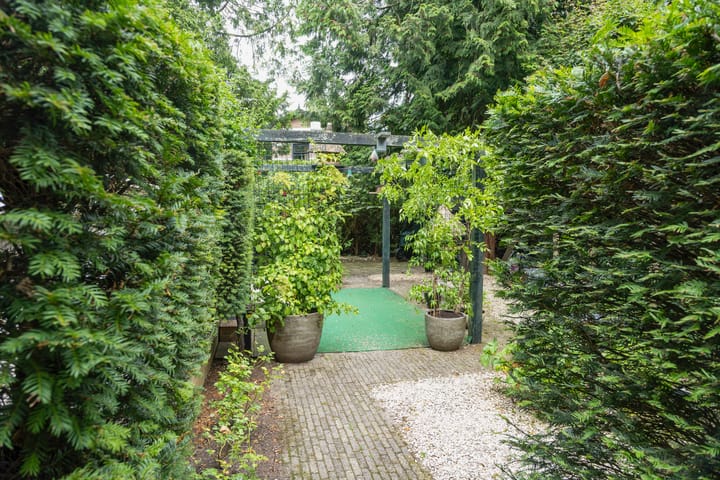 Foto 50 van Loolaan 38