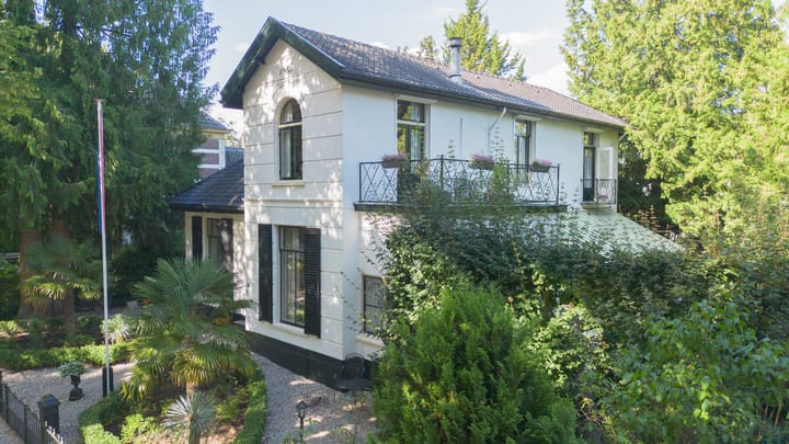 Foto 53 van Loolaan 38