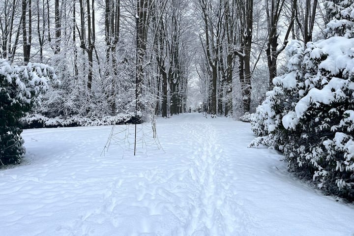 Foto 21 van Banningstraat 6-01