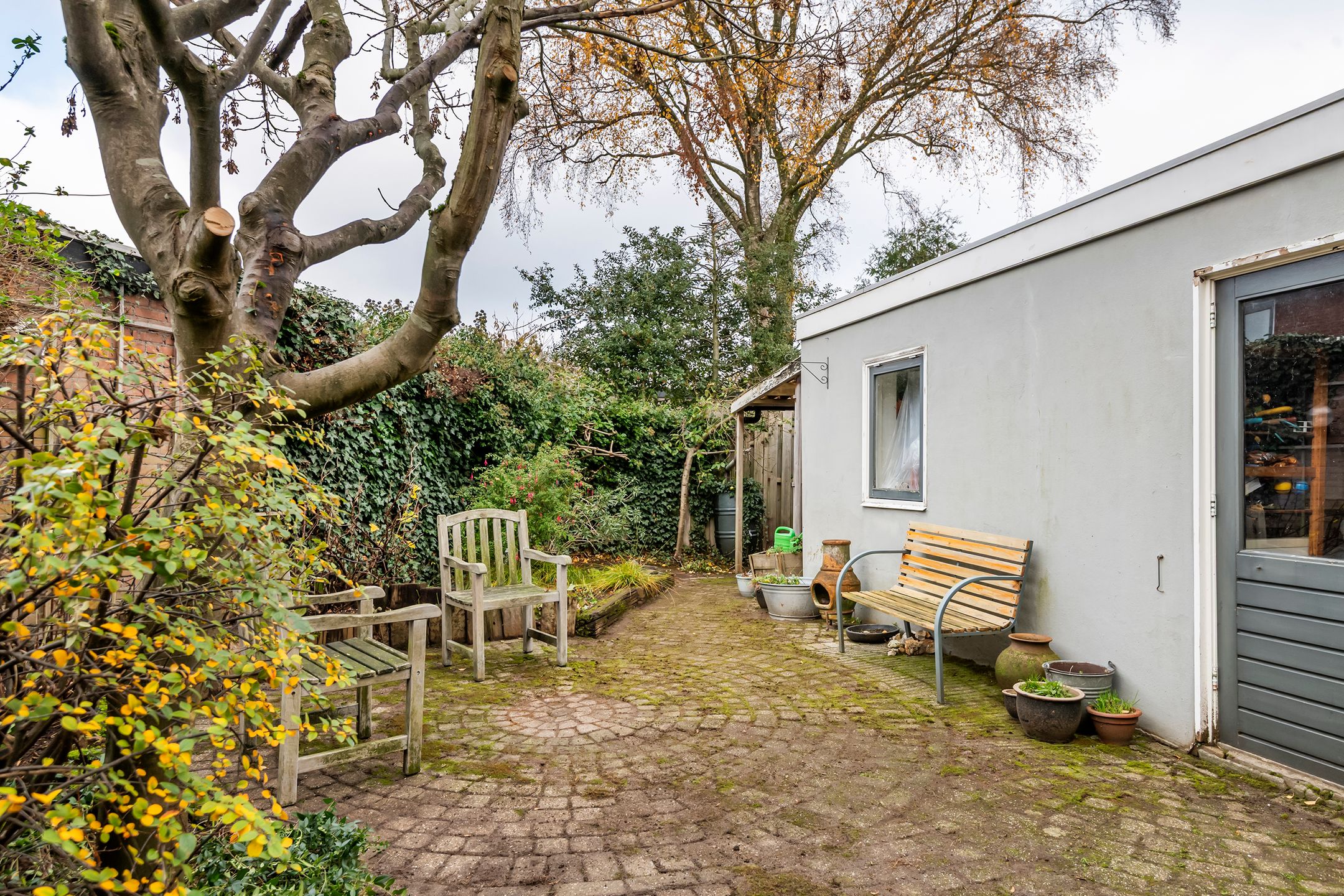 Photo 9 of Burgemeester Cambier van Nootenlaan 12