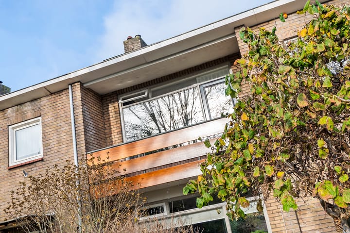 Foto 32 van Burgemeester Cambier van Nootenlaan 12