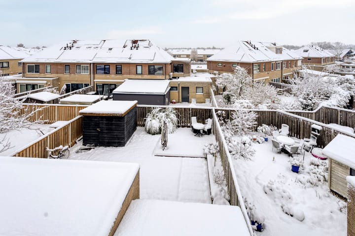 Foto 36 van Duifkruid 36