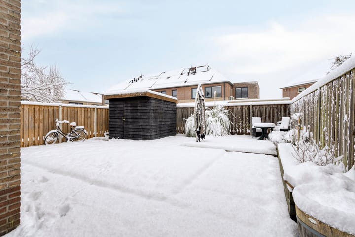 Foto 37 van Duifkruid 36