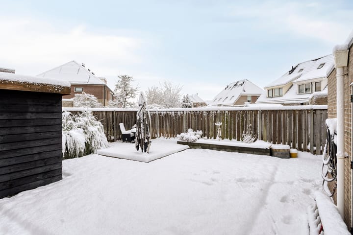 Foto 38 van Duifkruid 36