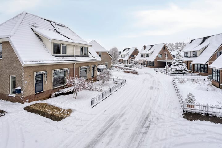 Foto 41 van Duifkruid 36