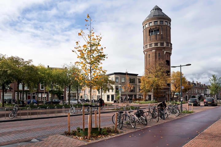 Foto 37 van Tijmstraat 46