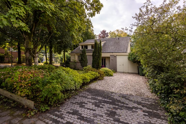 Foto 44 van Salamander 56