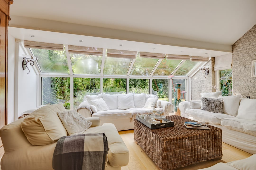 Photo 7 of Salamander 56