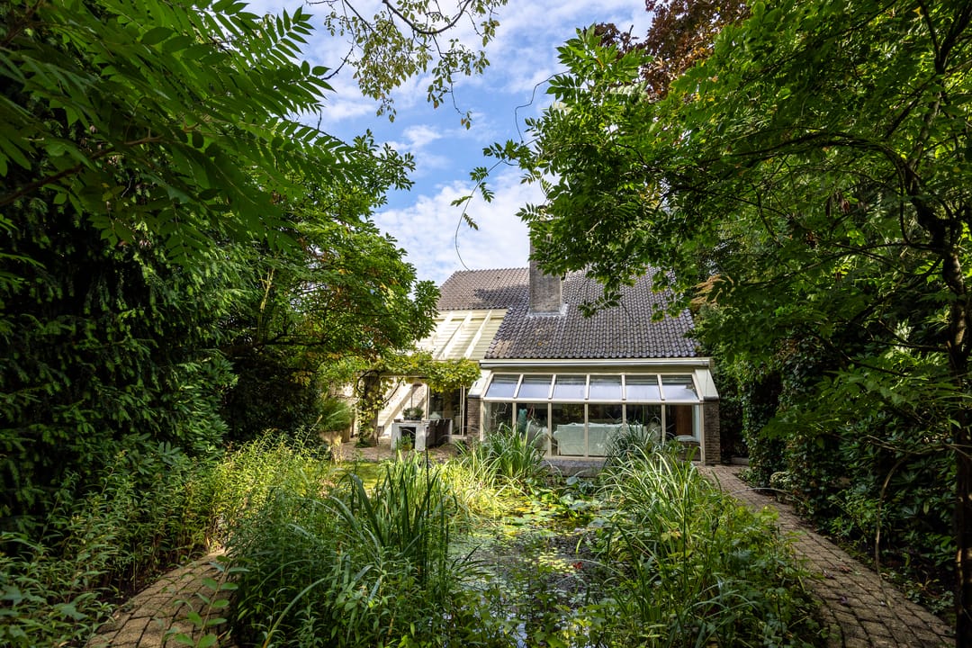 Photo 38 of Salamander 56