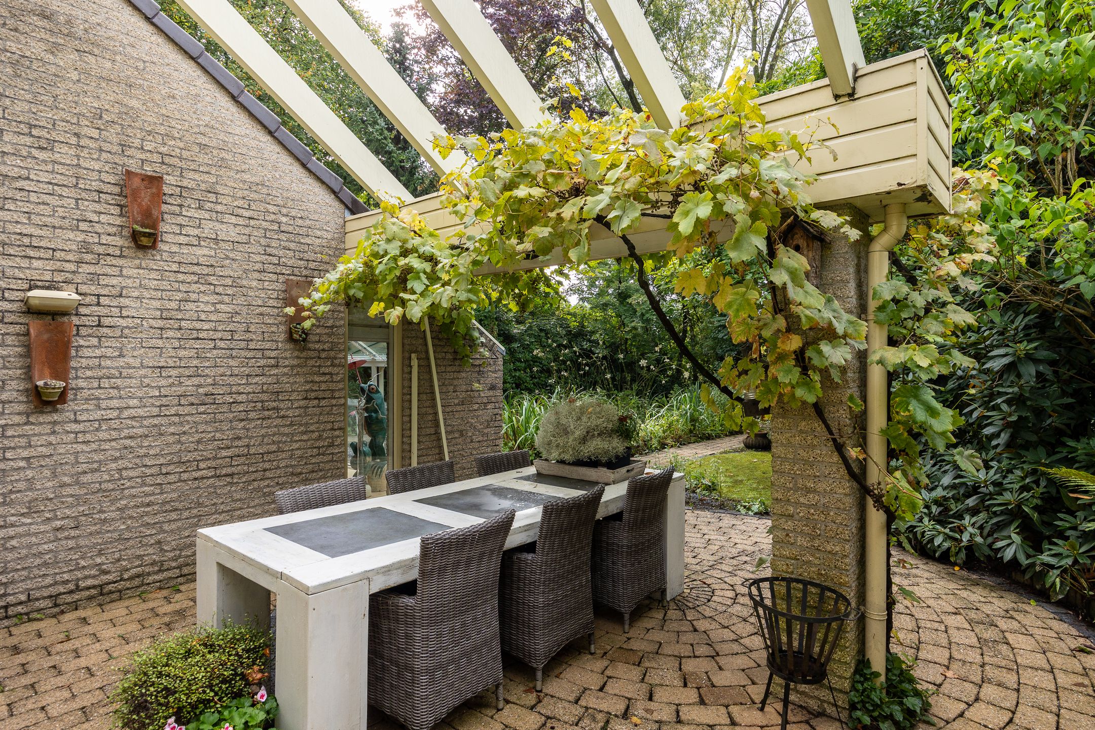 Photo 39 of Salamander 56