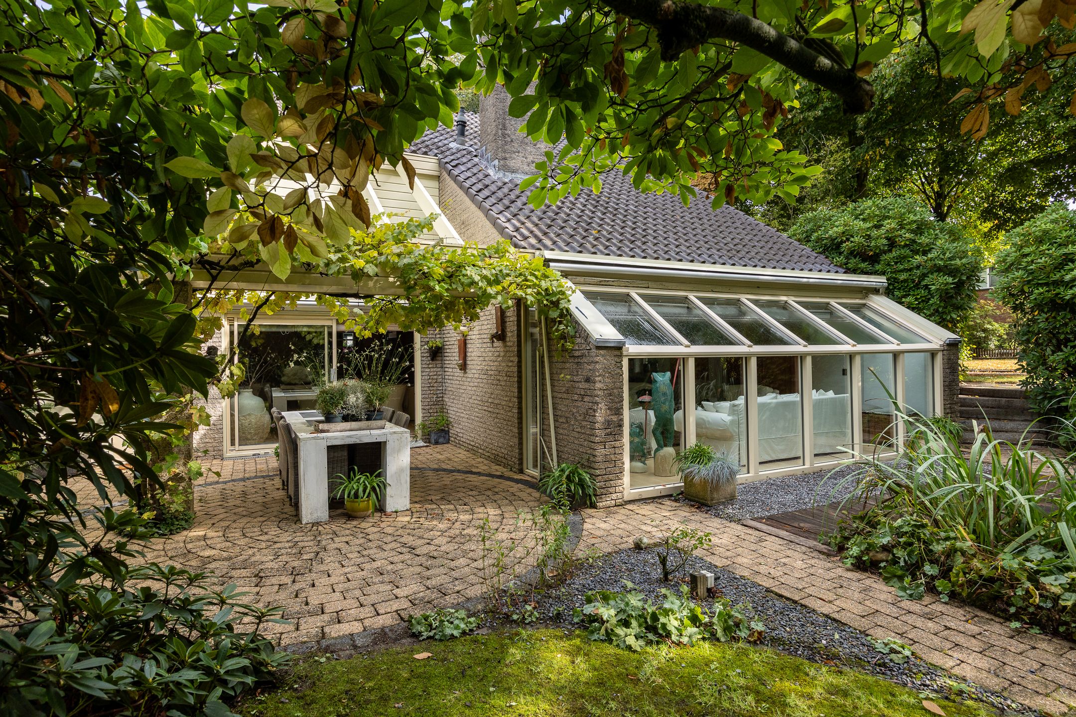 Photo 36 of Salamander 56