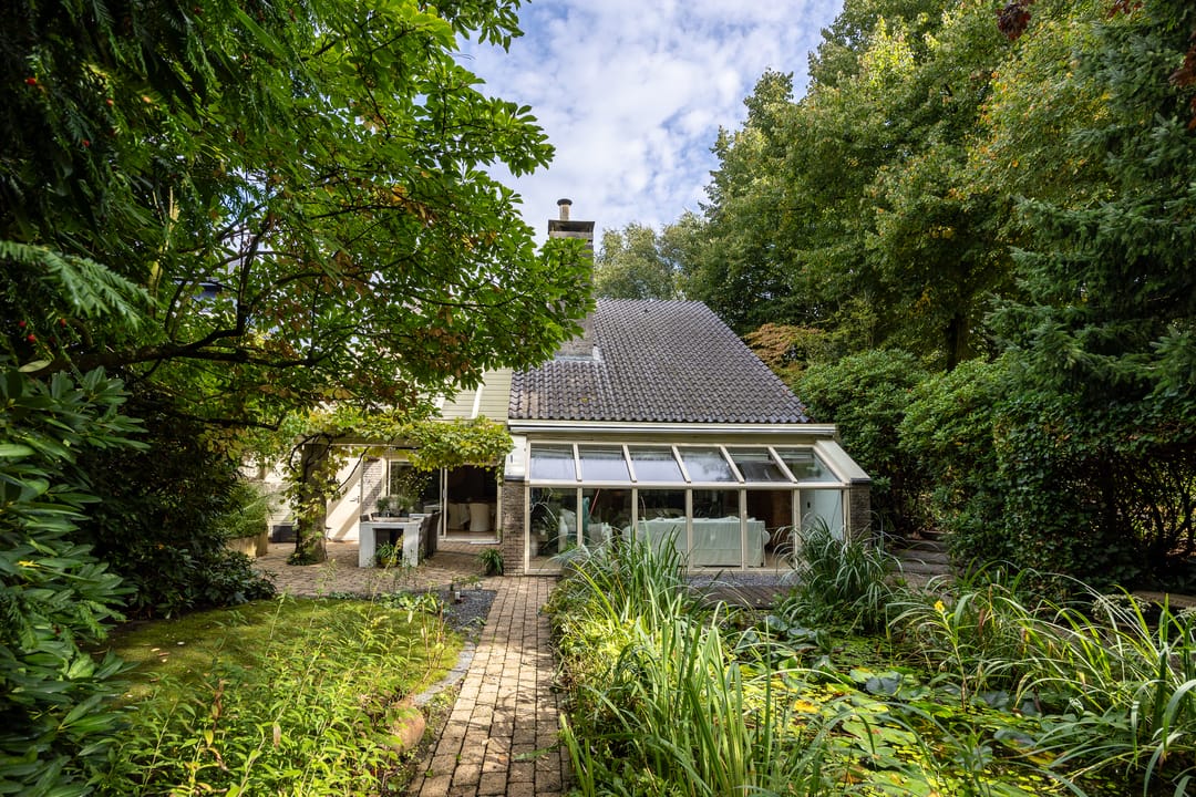 Photo 37 of Salamander 56