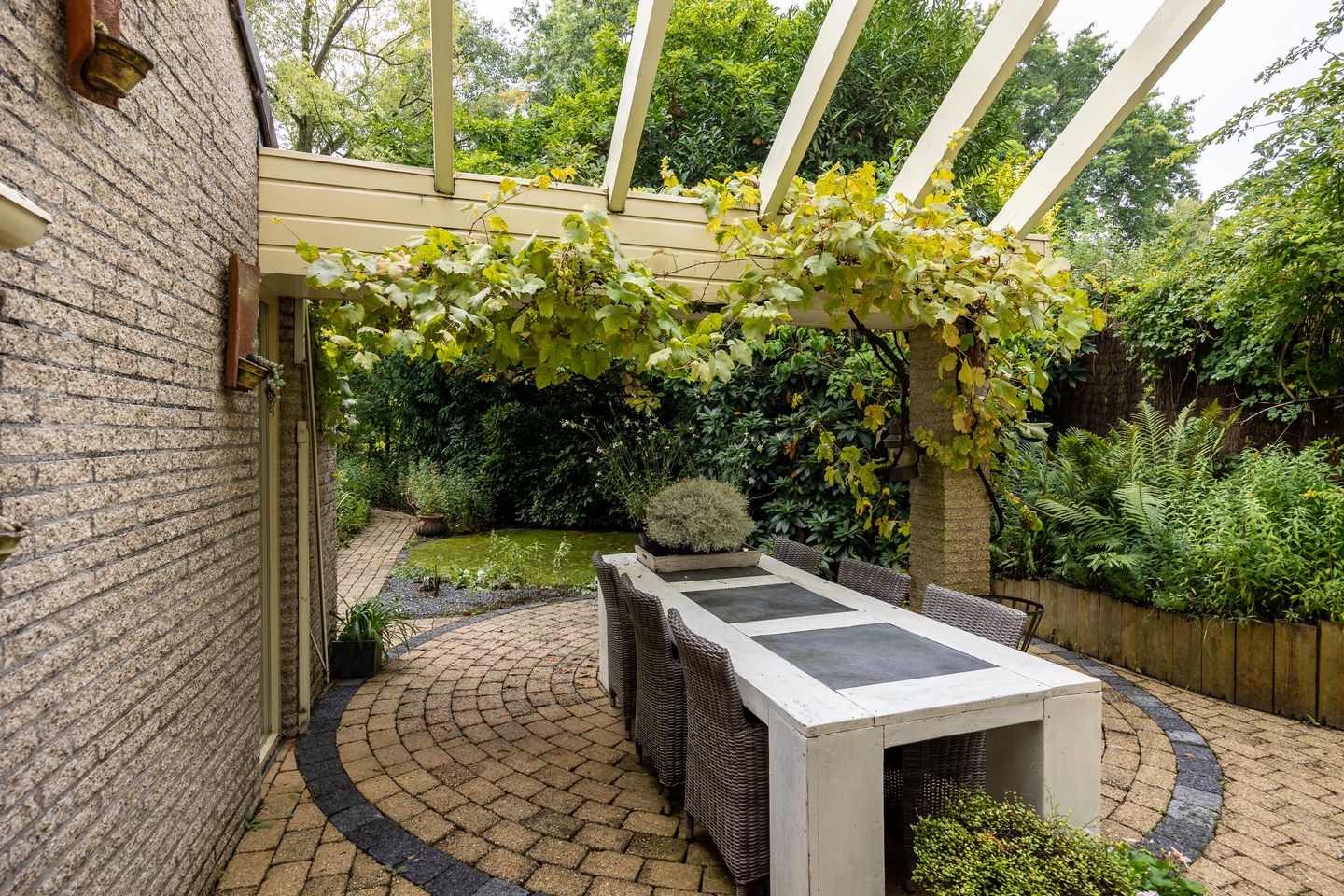 Photo 40 of Salamander 56