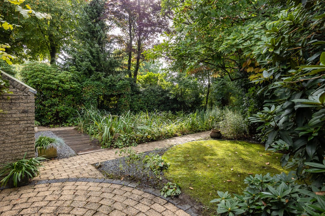 Photo 41 of Salamander 56