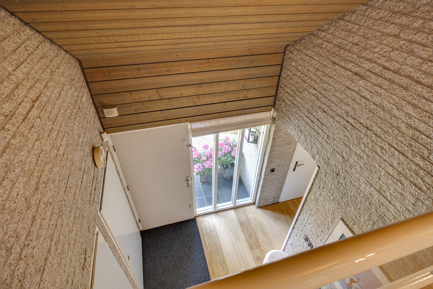 Photo 35 of Salamander 56