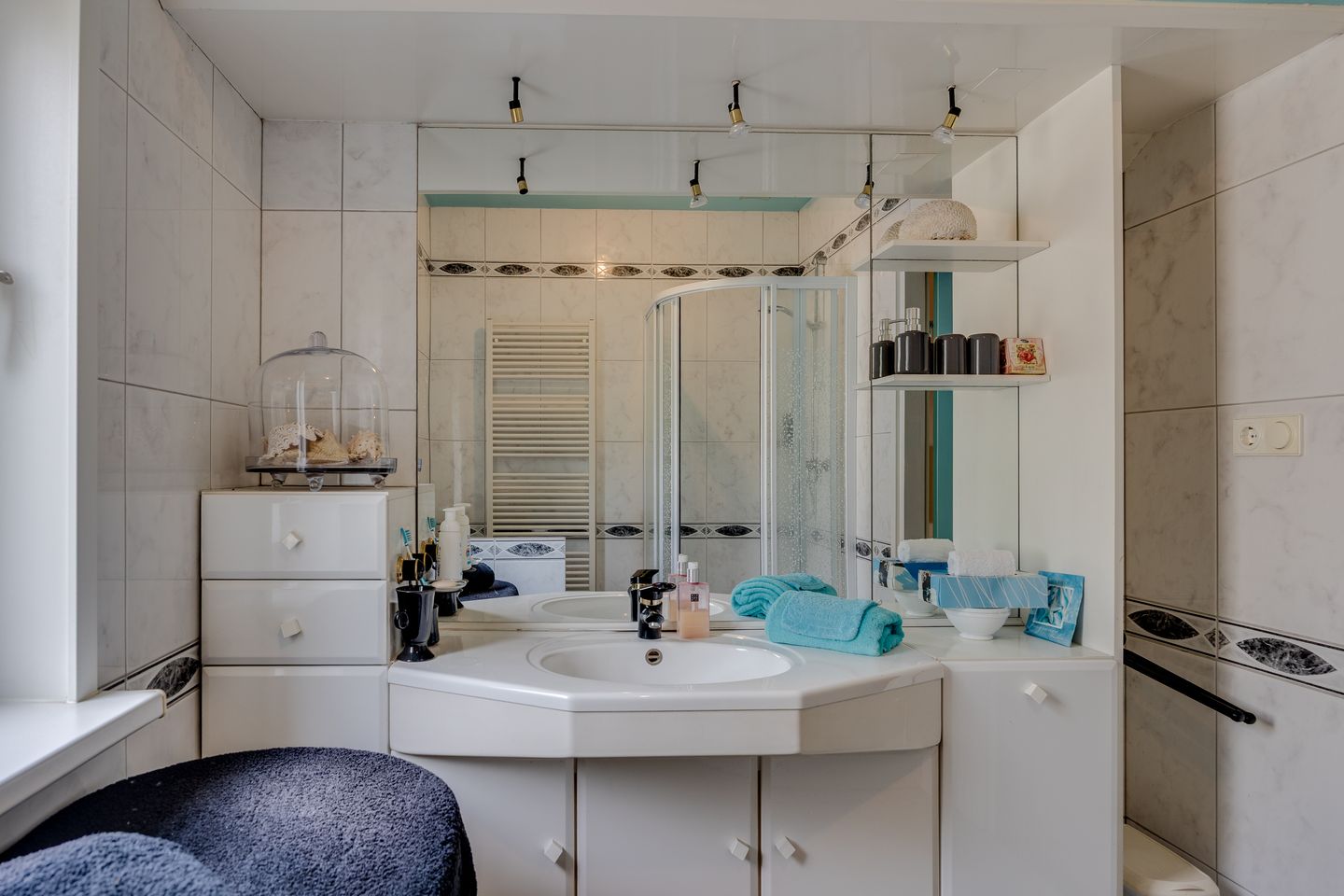 Photo 34 of Salamander 56